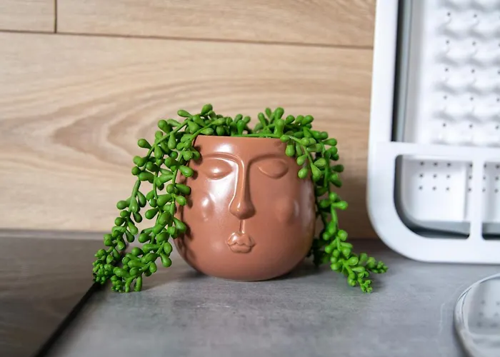 Kyjay Lägenhet Cambrai